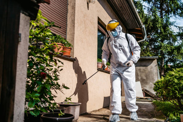 Best Affordable Pest Control Services  in Mountain Iron, MN