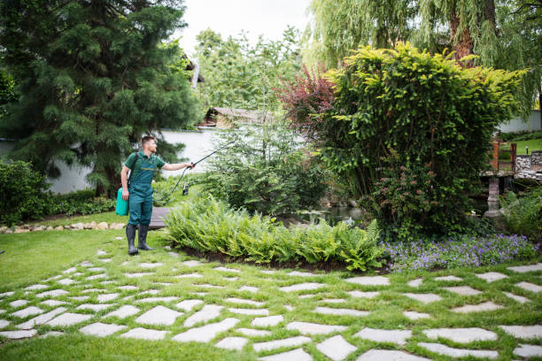 Best Pest Inspection Near Me  in Mountain Iron, MN
