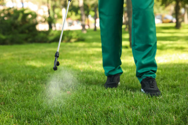 Best Insect Control  in Mountain Iron, MN