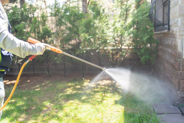 Best Cockroach Control Services  in Mountain Iron, MN