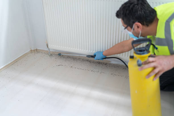 Best Pest Removal Services  in Mountain Iron, MN
