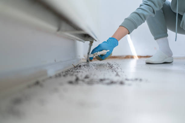 Wildlife Control Services in Mountain Iron, MN
